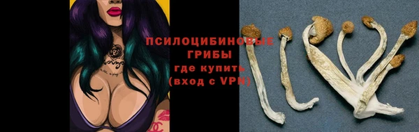 спайс Аркадак
