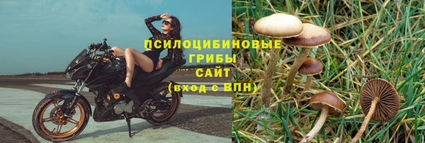 спайс Аркадак