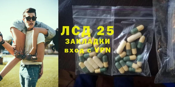 спайс Аркадак
